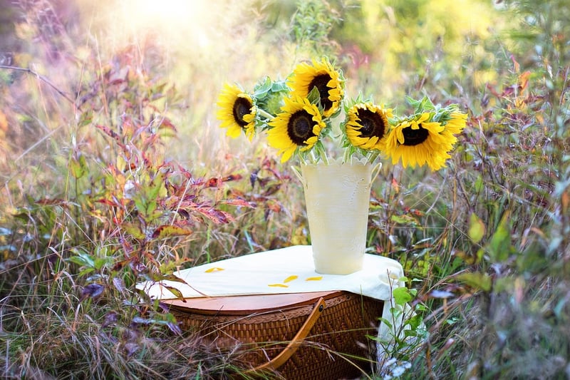 Bloom Booster Tonic for Enchanted Plants